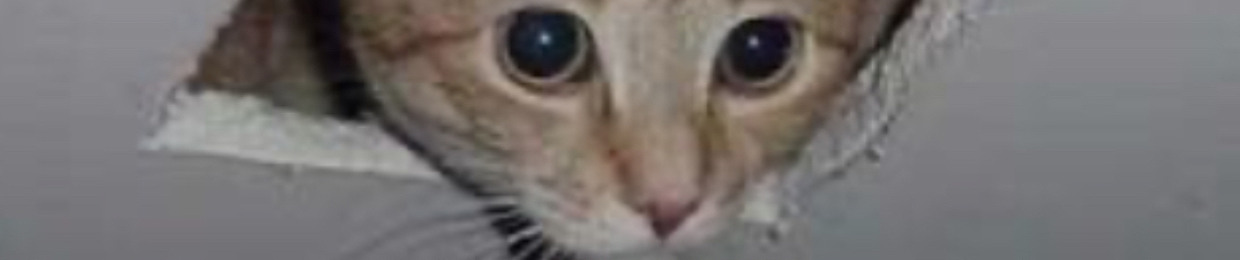 LD