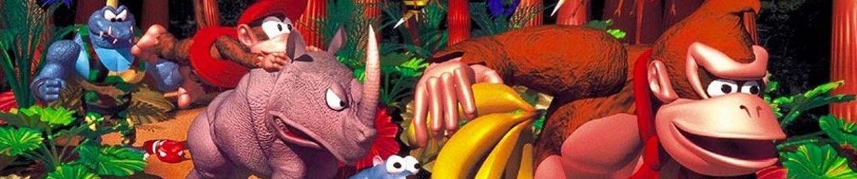 DIDDYKONGFAN2025
