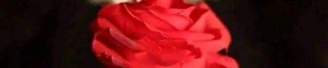 sheikh