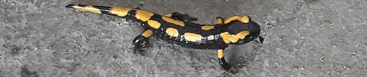 Gugu La Malice