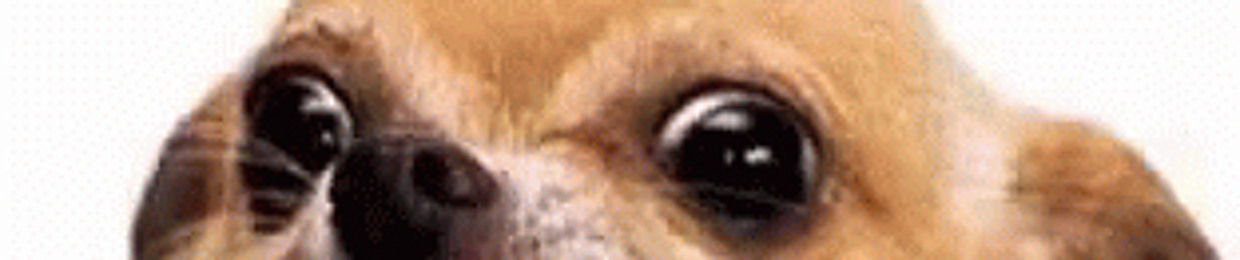 dreggggggggggggggggggggggggggggggggggggggggggggggg