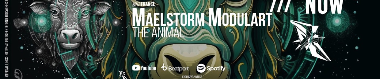 Maelstorm Modulart 2