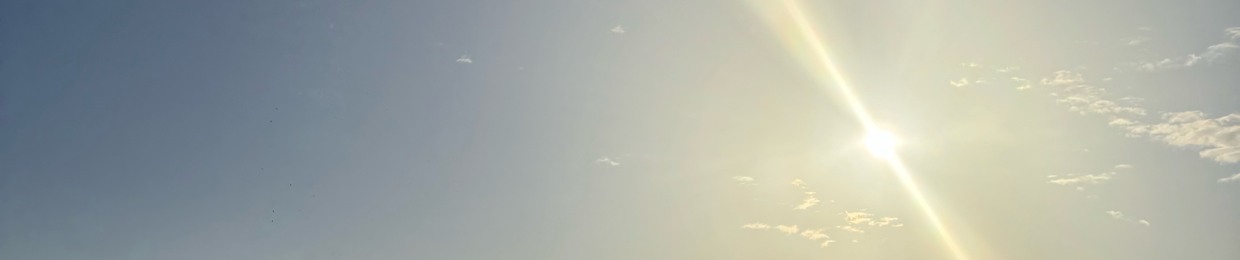 José Arthur Didoné Machado