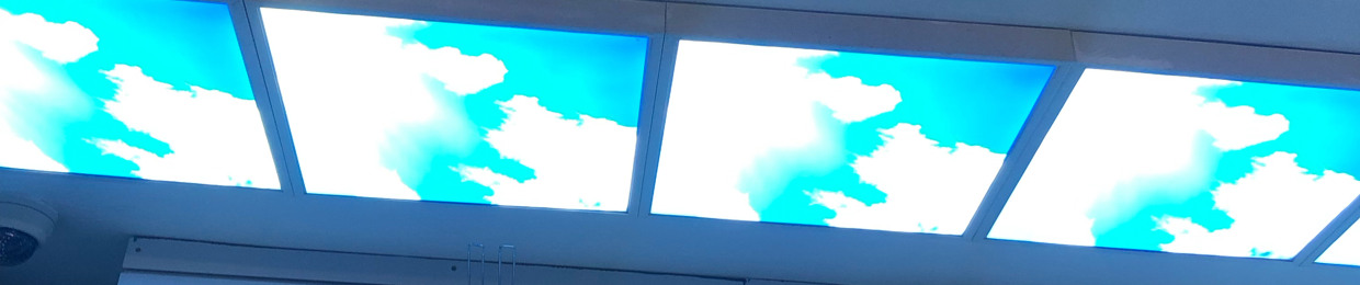 Swoopy