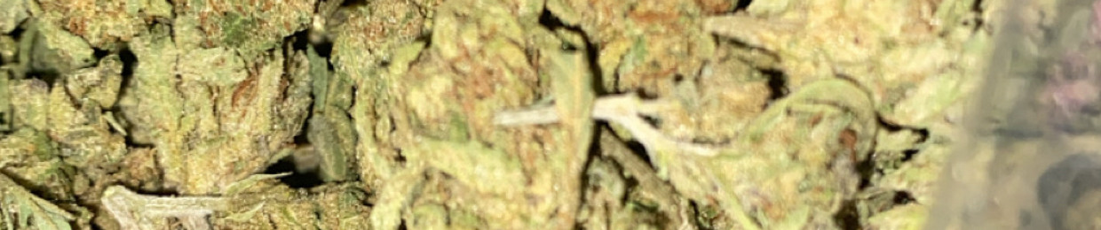 0$AMA💸