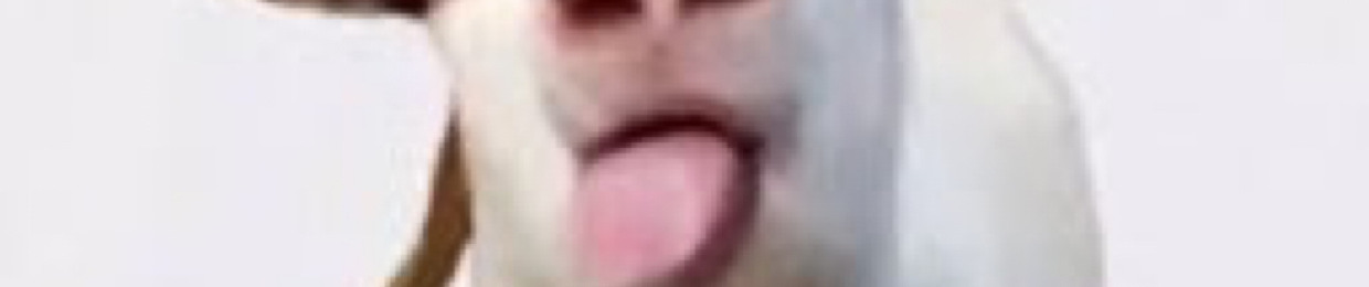 skylar