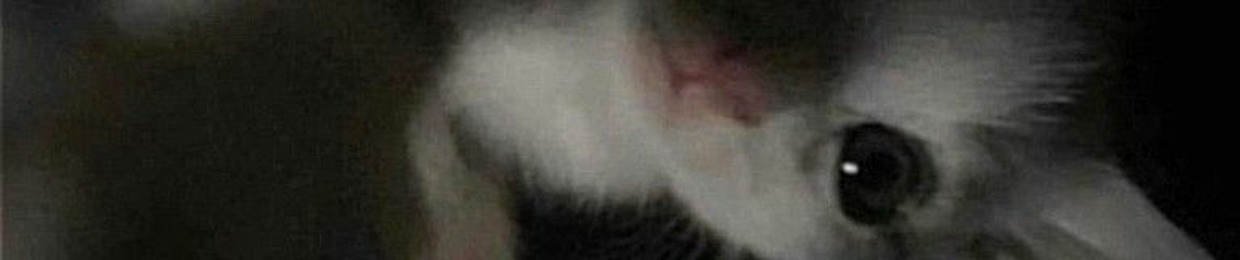 𝒯𝒾𝓃𝓀𝒶 ♡