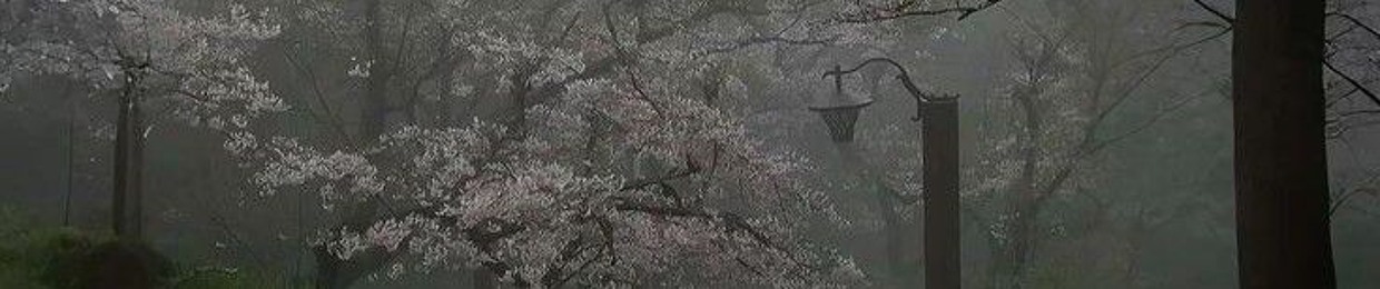 prisma