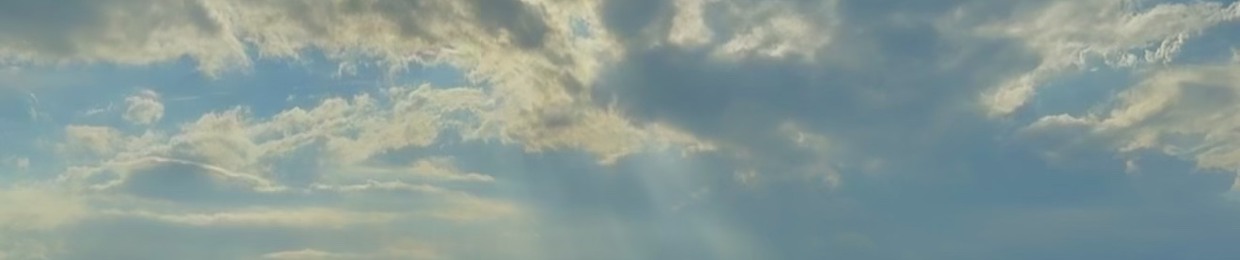 Minh hiếu Phan thị