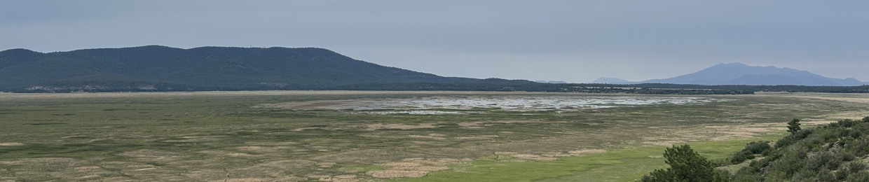 THE PICTURE PIECES ARCHIVE