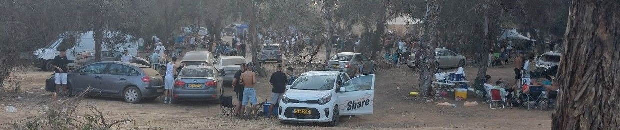 דוד טל