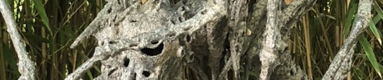 маленькаякова