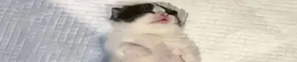danyyok