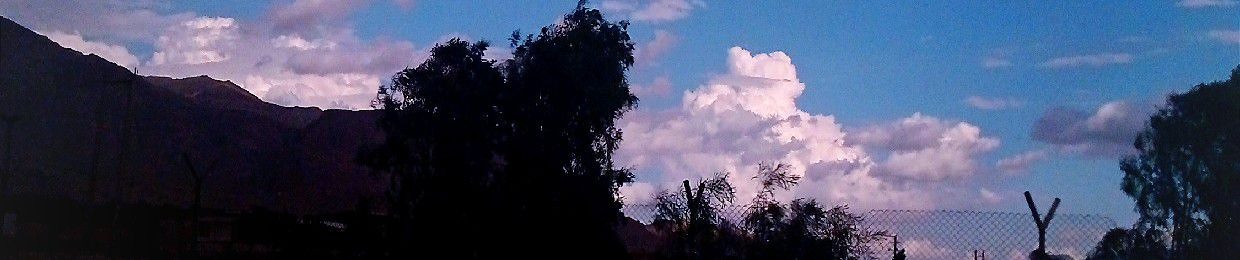 Amir Hossein Daghbashi