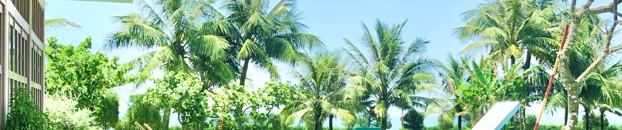Nguyễn Điệp