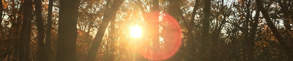 essence of you