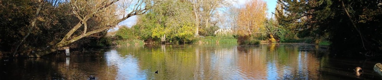 Transcending The Matrix