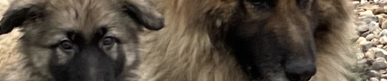 Maximus
