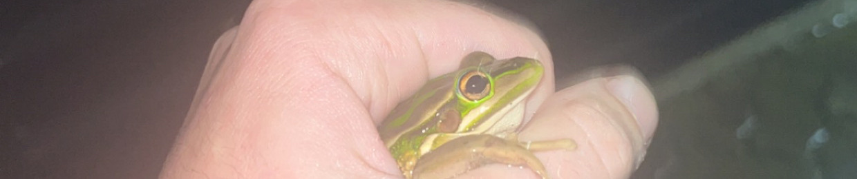 huutistbro