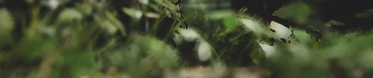 ➪✌︎𝐵𝑢𝑡𝑡𝑒𝑟𝑓𝑙𝑦☘︎␈