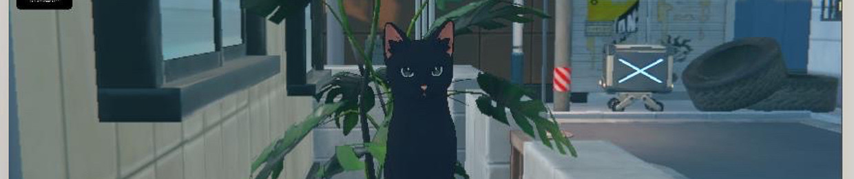 Derp