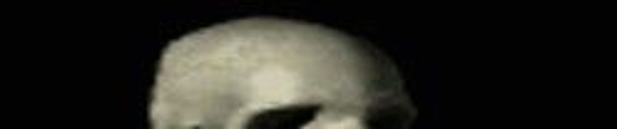 bl444z
