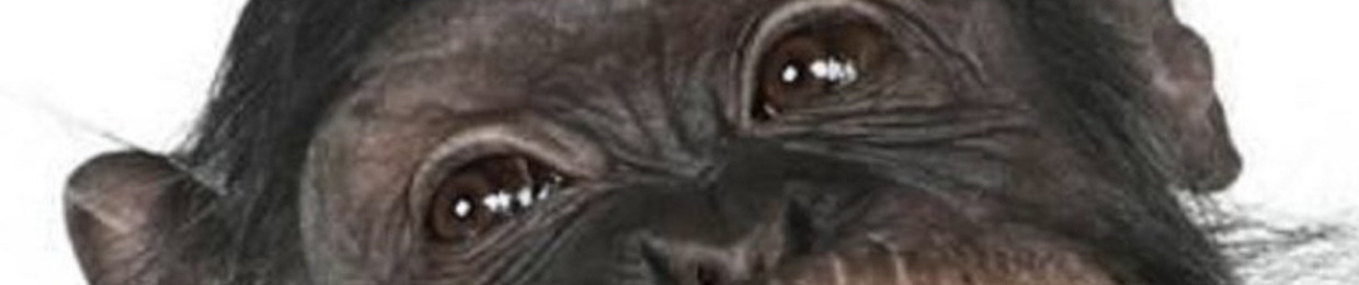 joshyjay2k19