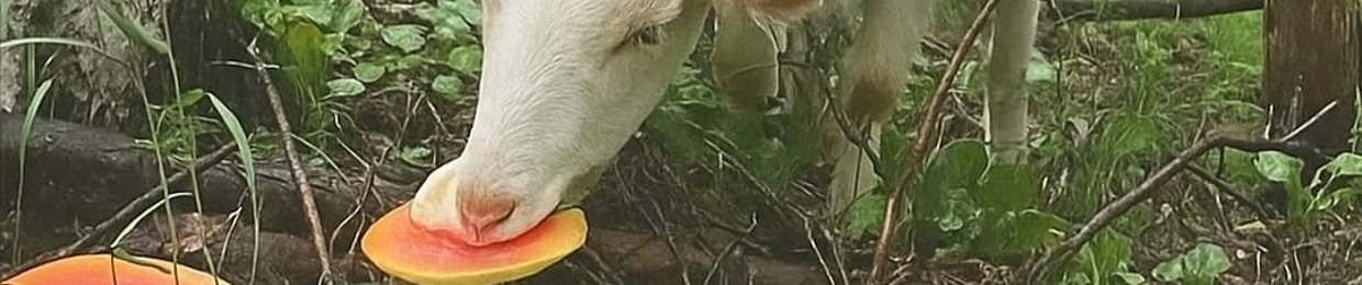 JJeZxLYzYaz12000JazzCUZZCcTvcvdspxxxy