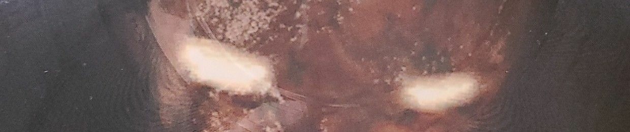 Dj HARTERÜBERGANG Ak JogYBÄR