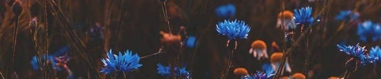 Thays