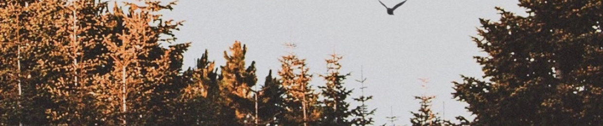 Dockholia