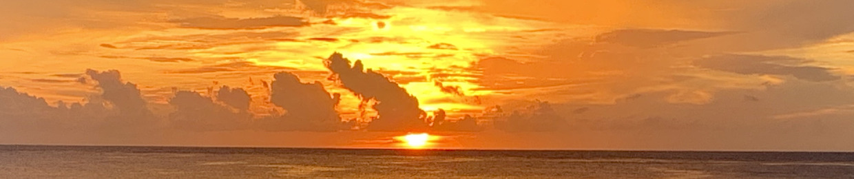 Luis Gustavo Rojas Perez