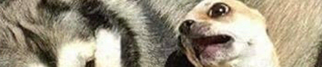 Q5