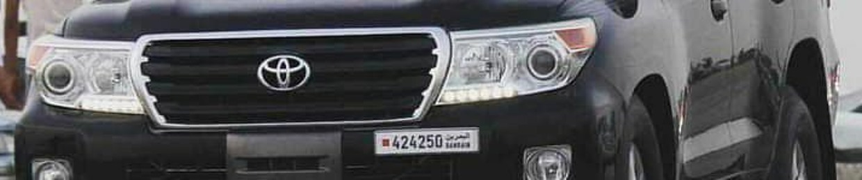 Hossam H Elbess