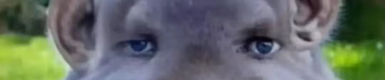geo69