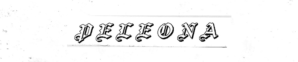 ā š š š š š š š ā