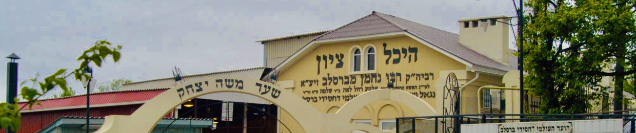 רק רבינו! • נתן שמחה •