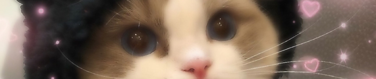 kyos shit