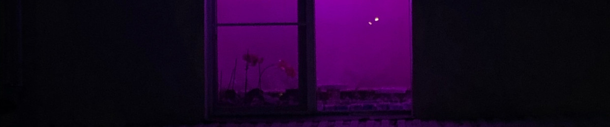 whatthefuckingmagrota