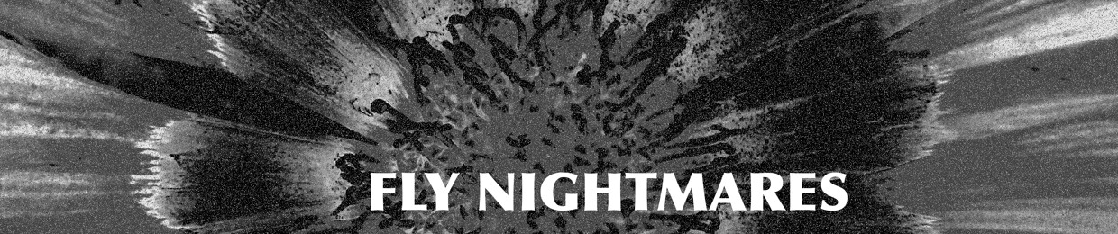 Fly Nightmares