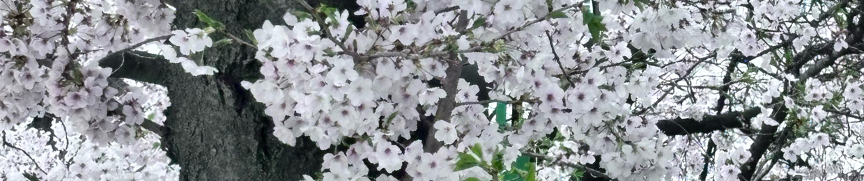 임서현