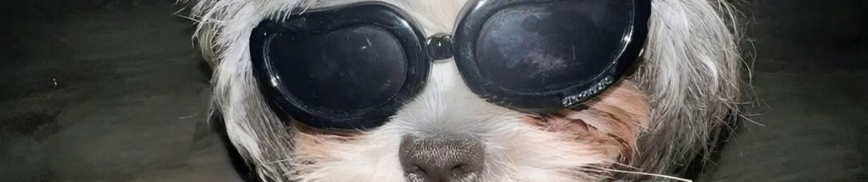 pék hào cute wá đi àk