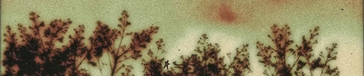 ₙₒᵦₒ𝚍y𝚌ₐᵣₑₛ