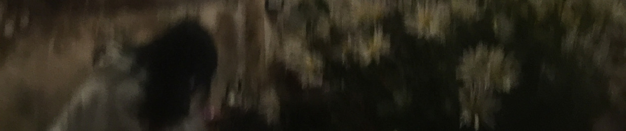 Ivenn