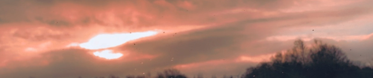 Kevin Älsklingen Nissén🤍