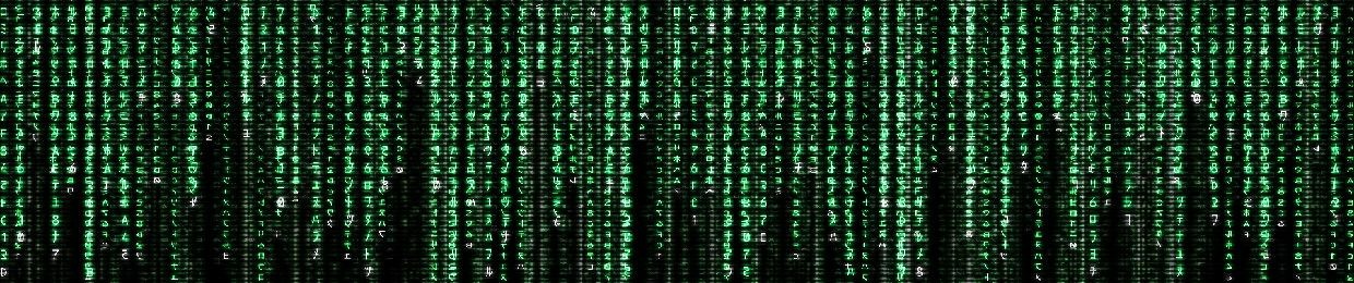 BeRserCoRe | T-3Rr_0R__0v3RDoS3