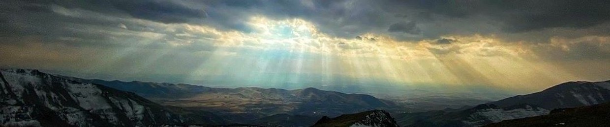 علیرضا روشن