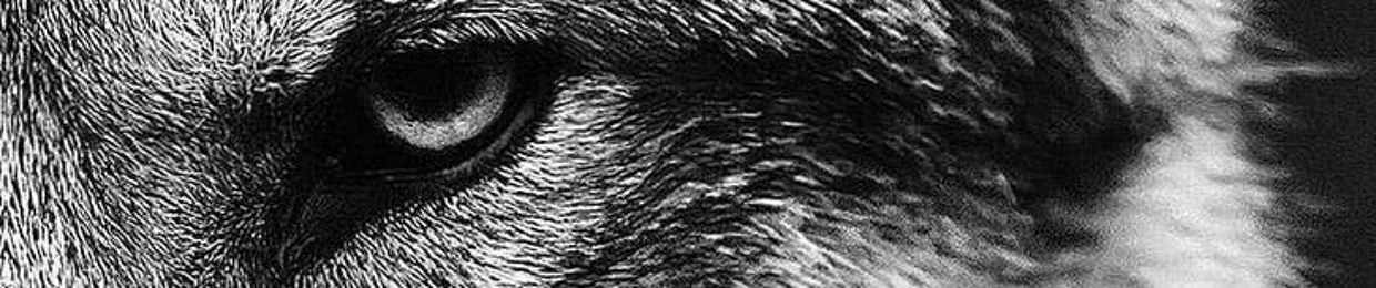 Spartacas (a.k.a)OptimusPrime