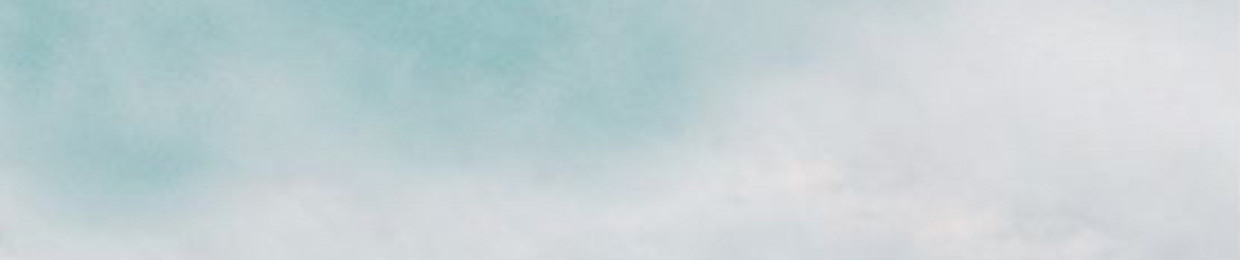 mohammadmehdi siyamak