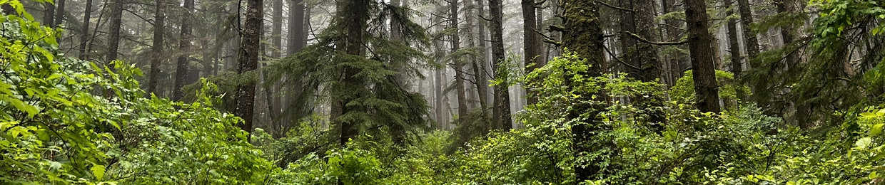 krys 🪼🫧🪐🧚🏼‍♀️